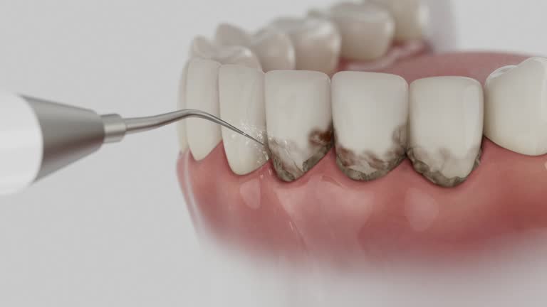 Reliable Dental contractor in Grass Lake, MI by Dentist Open Now